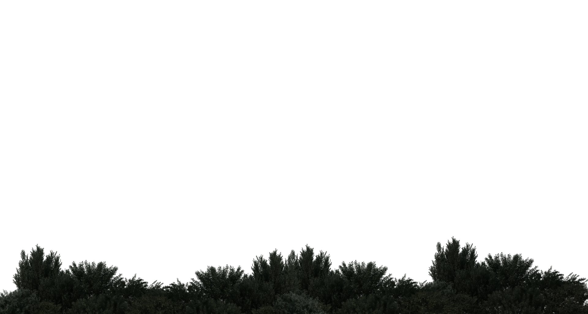Bushes